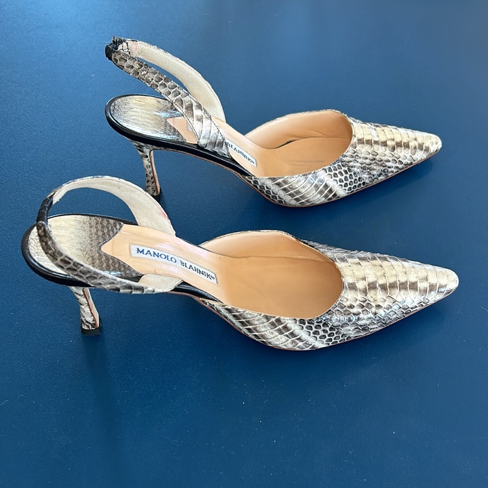 Manolo Blahnik Python 2 1/2 Slingback Heels - image 4